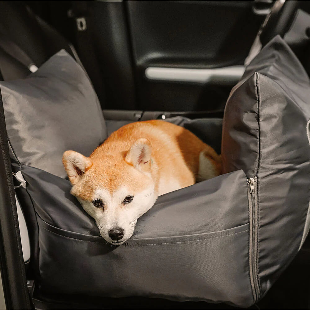 Car bed for dog: Comfort and safety on the move