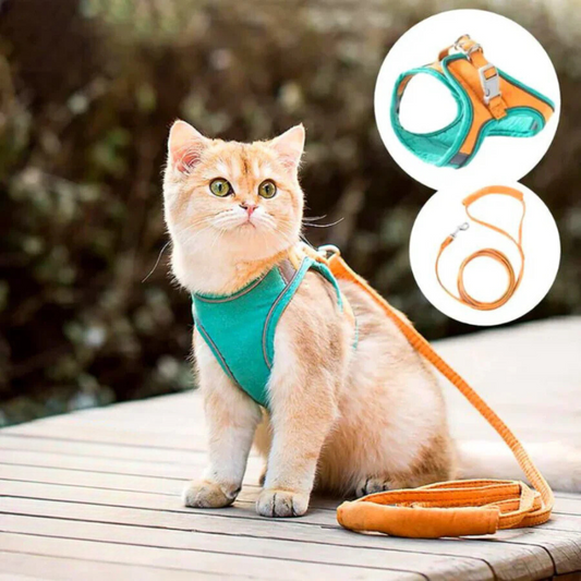 Coleira confortável e segura para gatos - Ideal para passeios 