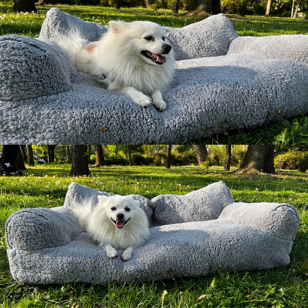 Sofá relaxante para animais - Conforto e serenidade garantidos 