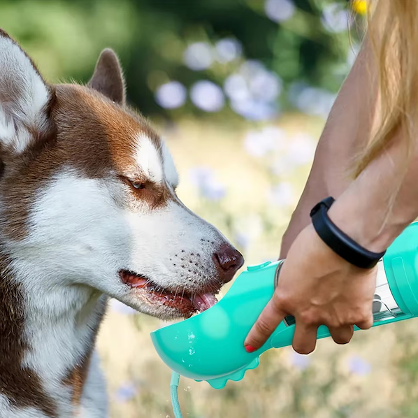 Garrafas 4-em-1 para hidratar e nutrir seu cachorro 