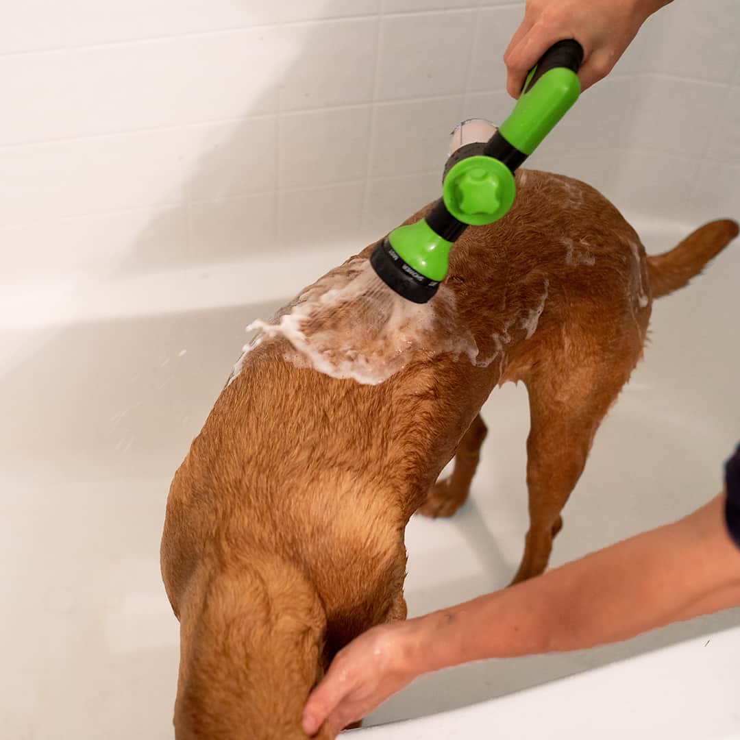 Spray de limpeza fácil e rápido para animais 