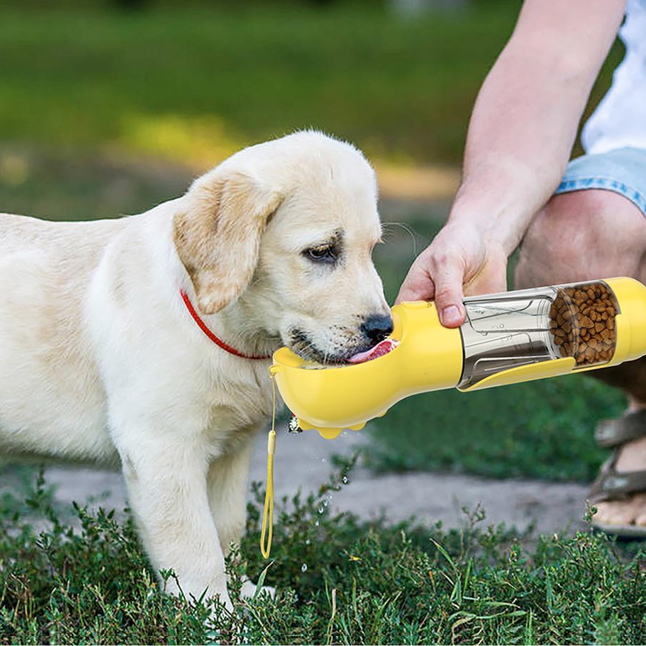 Garrafas 4-em-1 para hidratar e nutrir seu cachorro 