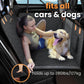 Dog Car Seat: Optimal Safety and Protection 